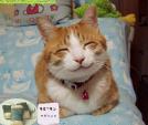 Ảnh đại diện của Jusky
