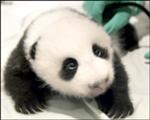 Ảnh đại diện của songthan